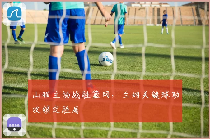 山猫主场战胜篮网，兰姆关键球助攻锁定胜局