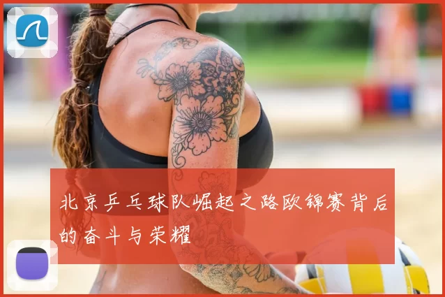 北京乒乓球队崛起之路欧锦赛背后的奋斗与荣耀