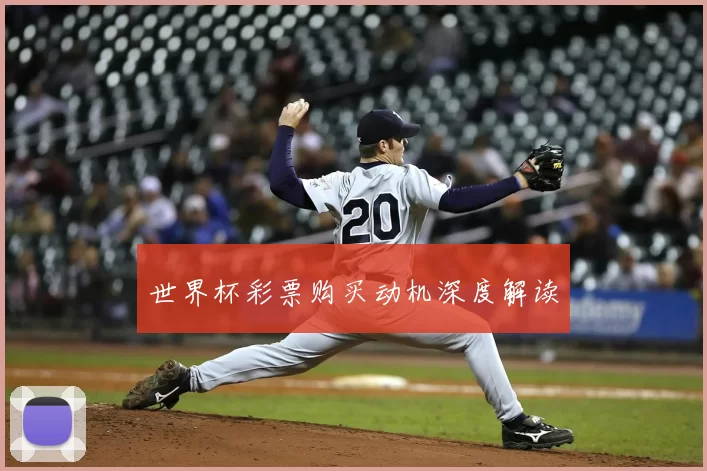 世界杯彩票购买动机深度解读