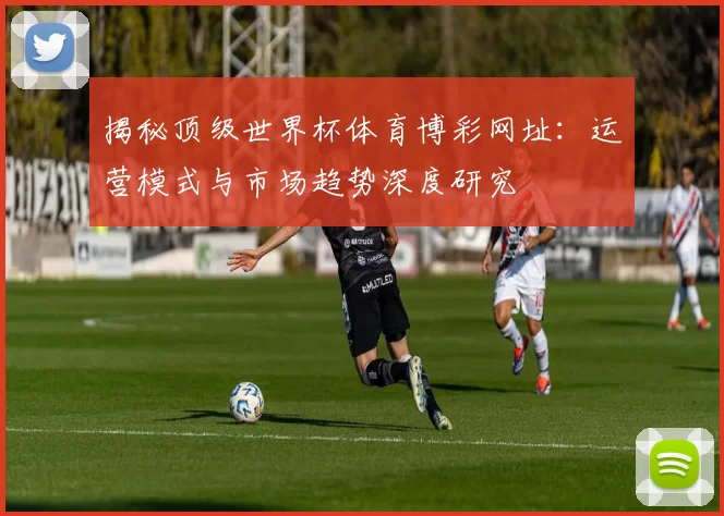 揭秘顶级世界杯体育博彩网址:运营模式与市场趋势深度研究