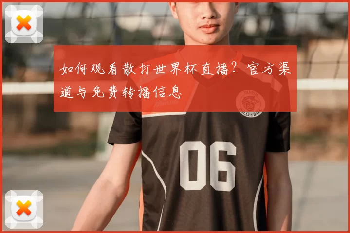如何观看散打世界杯直播?官方渠道与免费转播信息