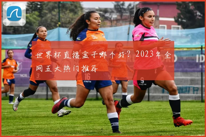 世界杯直播盒子哪个好？2023年全网五大热门推荐