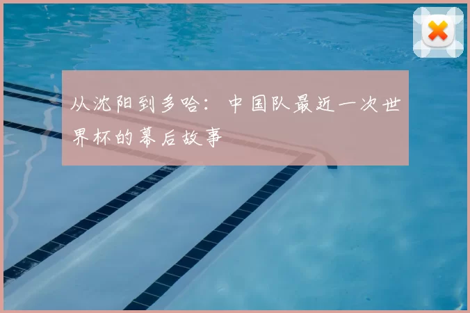 从沈阳到多哈:中国队最近一次世界杯的幕后故事