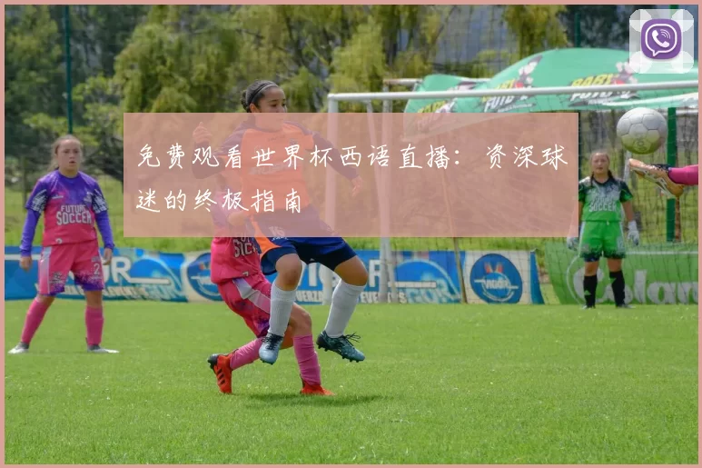 免费观看世界杯西语直播:资深球迷的终极指南