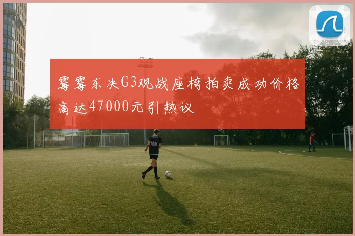 霉霉东决G3观战座椅拍卖成功价格高达47000元引热议