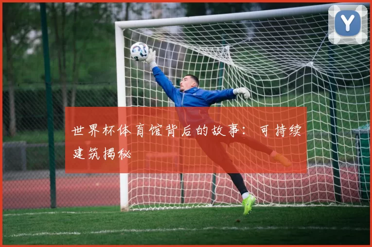 世界杯体育馆背后的故事：可持续建筑揭秘