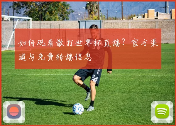 如何观看散打世界杯直播?官方渠道与免费转播信息