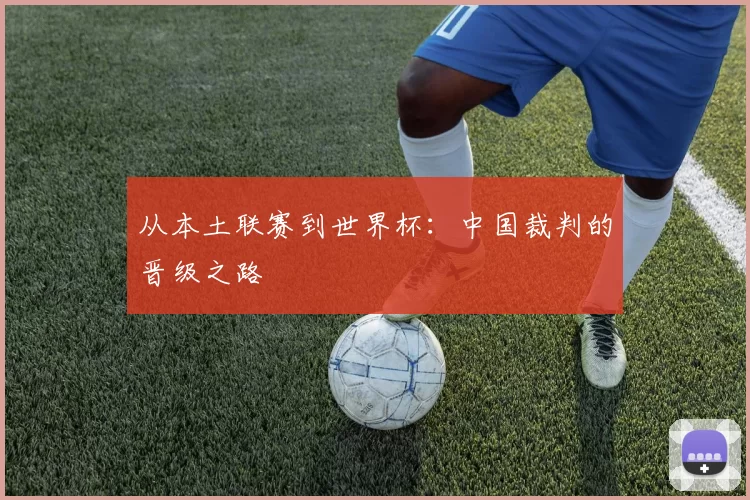 从本土联赛到世界杯：中国裁判的晋级之路
