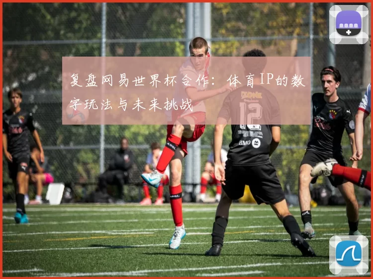复盘网易世界杯合作：体育IP的数字玩法与未来挑战