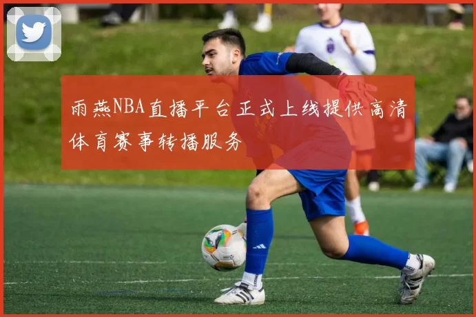雨燕NBA直播平台正式上线提供高清体育赛事转播服务