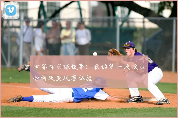 世界杯买球故事:我的第一次投注如何改变观赛体验